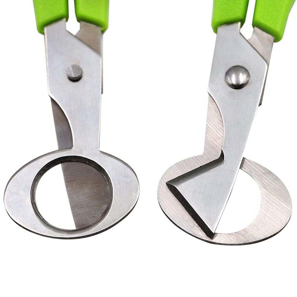 3 adet bıldırcın yumurtası kes - Kitchen Shears In Baking incelemesi ve fiyatı